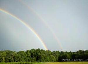 Double rainbow over sheep field